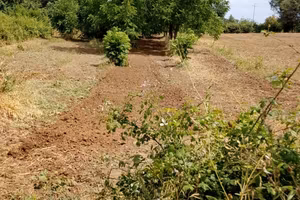 Terreno Palombara Sabina