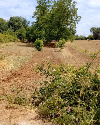 Terreno Palombara Sabina