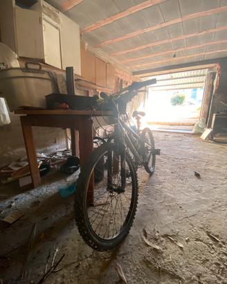 Bicicletta atala invader