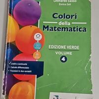 Colori della matematica edizione verde 4