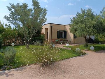 Villetta a schiera di testa con giardino e uliveto