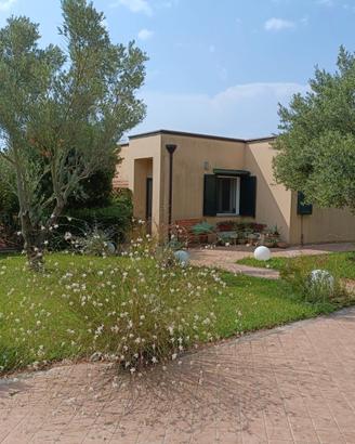 Villetta a schiera di testa con giardino e uliveto