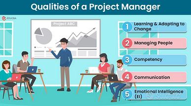 PROGRAM MANAGER 