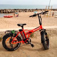 Bicicletta Elettrica