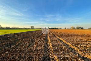 TER. AGRICOLO A MAGENTA