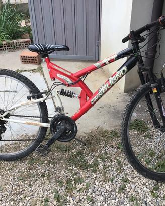Bicicletta