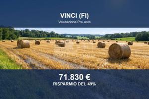 Immobile in asta di 45533 m² a Vinci