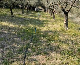 Terreno a Mezzane di Sotto