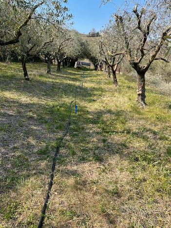 Terreno a Mezzane di Sotto