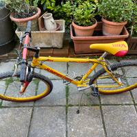 Mountain bike