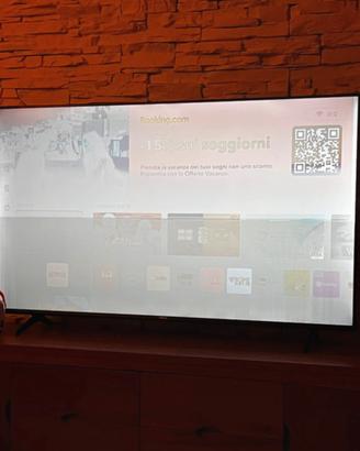 Hisense Qled 55 schermo da riparare
