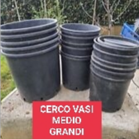 Vasi usati medio grandi (da siepe o alberello)