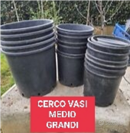 Vasi usati medio grandi (da siepe o alberello)
