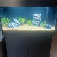 acquario marca juwel 125
