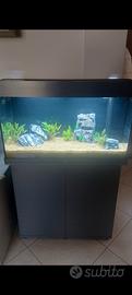 acquario marca juwel 125