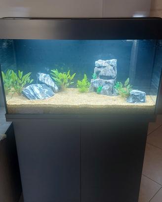acquario marca juwel 125