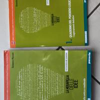 La Meraviglia delle idee 1.