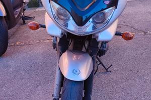 Bandit 600 vista e piaciuta