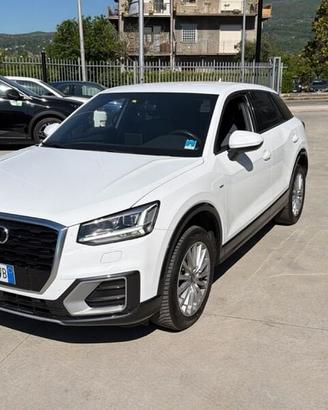 Audi Q2 I 2017 1.6 tdi Sport