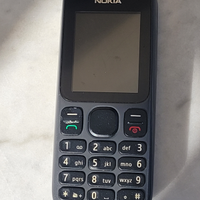 Nokia 100