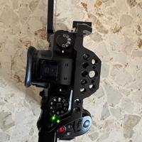 Panasonic DC GH5s