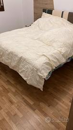 Piumone cotone Bassetti NUOVO