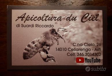 Apicoltura 