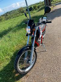 Beta Alp 4.0 350 Del 2018