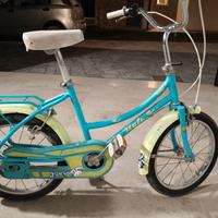bicicletta 5/6 anni