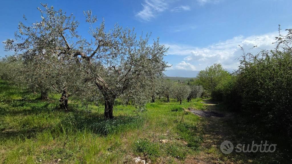 Terreno di 3300 m² a Piglio - Altro