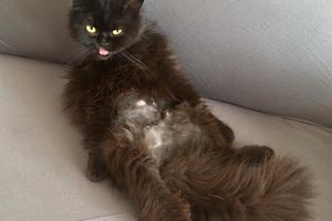 Casa a Ferrara e dintorni