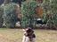 Immagine 2