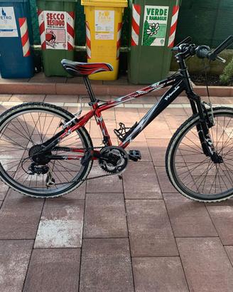 Mountain Bike Ragazzo Primula