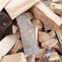 legna da ardere secca 