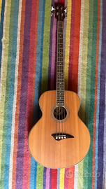 Basso acustico elettrificato