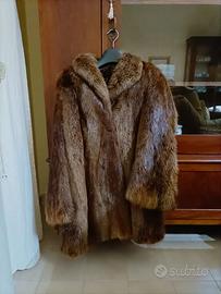 pelliccia di castoro selvaggio