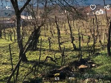 Terreno agricolo