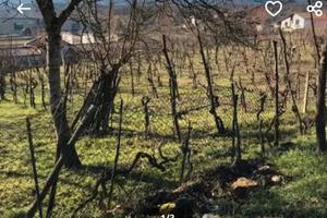 Terreno agricolo