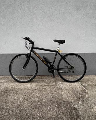 Bicicletta Esperia