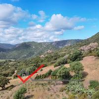 Terreno Agricolo Berchiddeddu