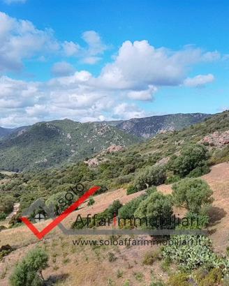Terreno Agricolo Berchiddeddu