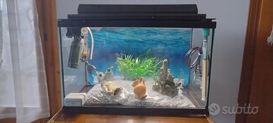 acquario