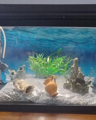acquario