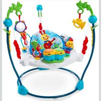salterello multi attività baby Einstein 