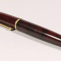 PENNA STILOGRAFICA FOUNTAIN INK PEN STYLO