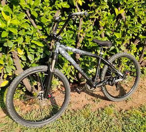 Wheelie bike