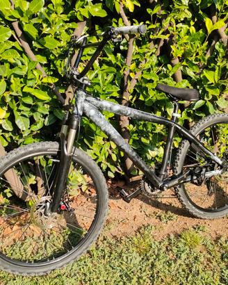 Wheelie bike