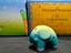 Immagine 2