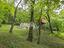 Immagine 14