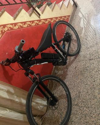 bici elettrica